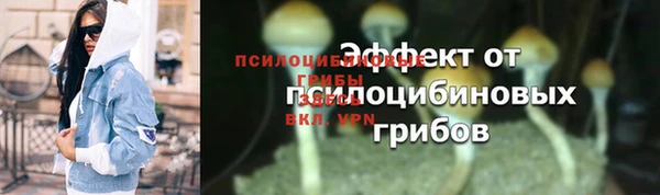 МДПВ Пестово