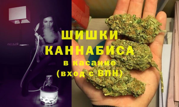 эйфоретик Пересвет