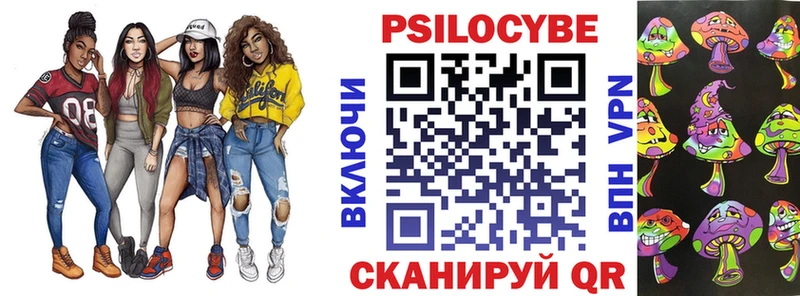Псилоцибиновые грибы Psilocybe  хочу   Саранск 